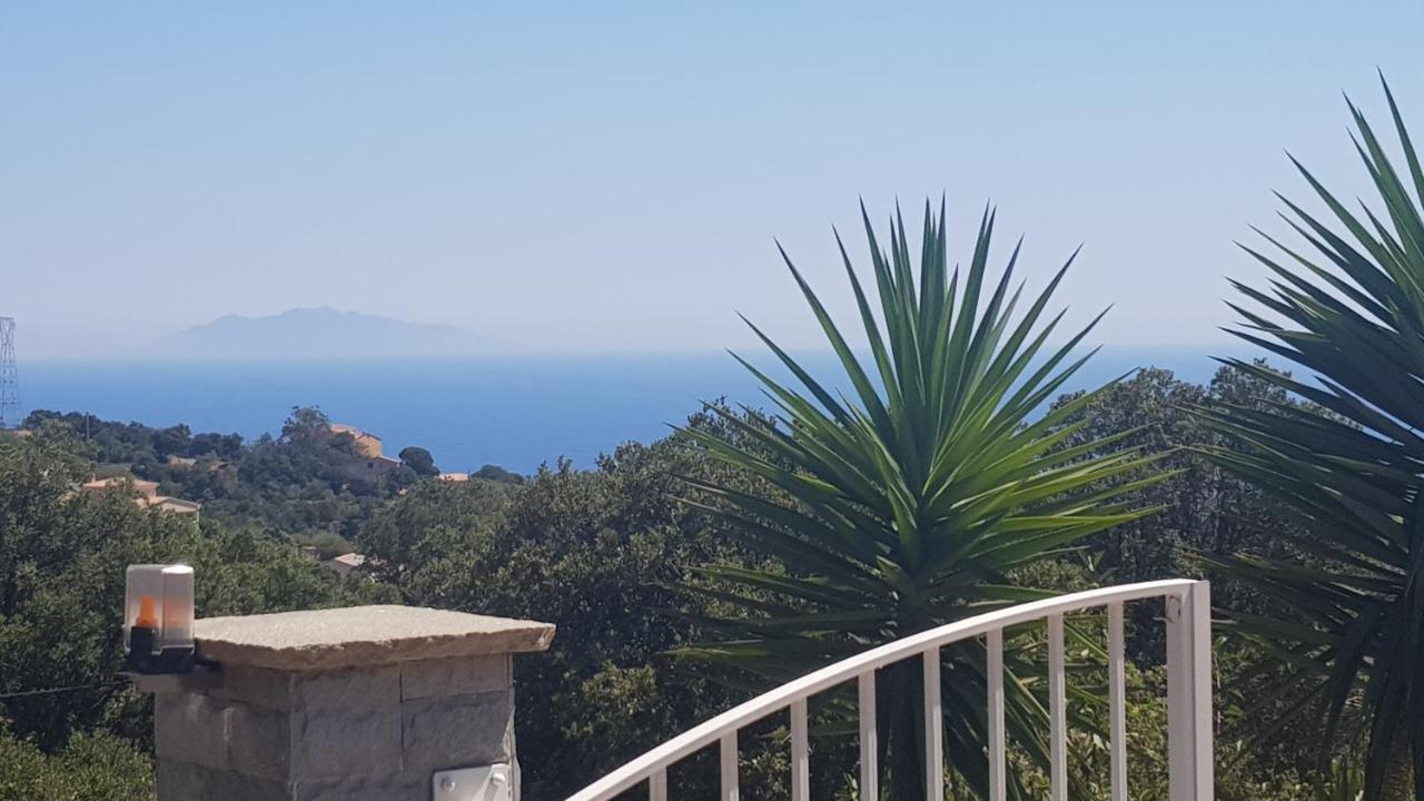Bas De Villa Chez Mr.Girolami Dominique Bastia  Exterior foto